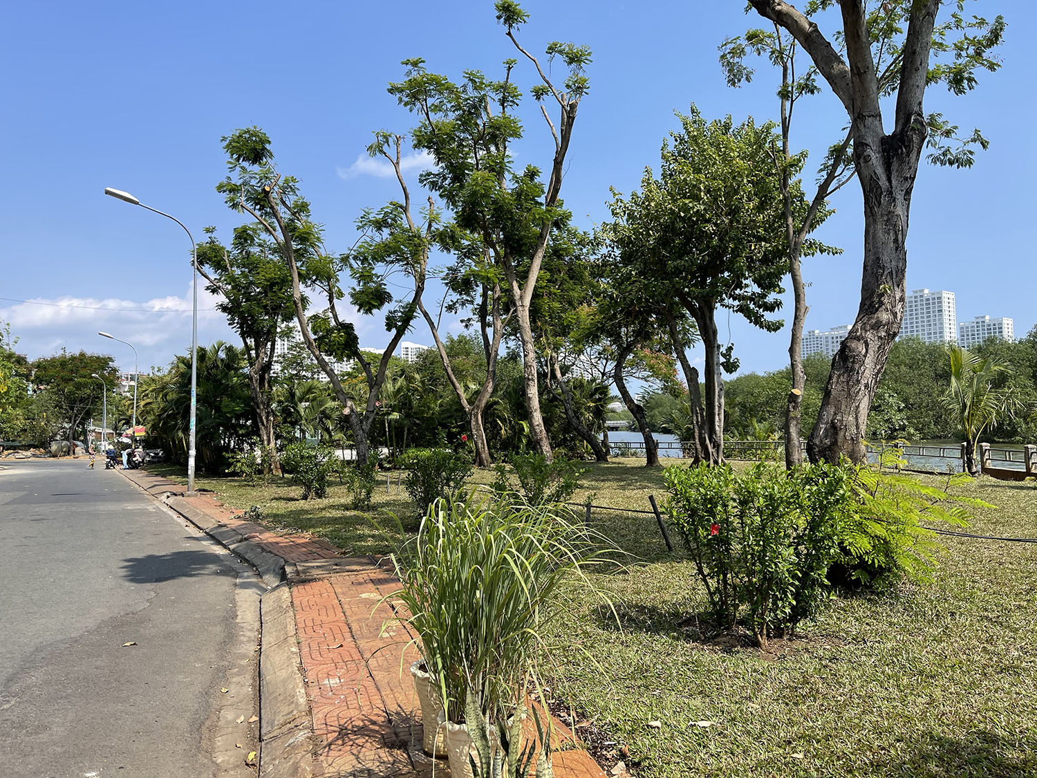 Siêu phẩm Biệt thự 3 lầu công viên ven sông khu Biệt thự cao cấp Phường Tân Phong, Quận 7
